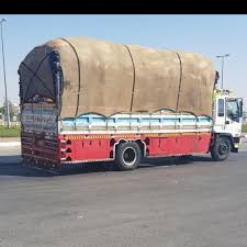 WhatsApp Image 2025-07-07 at 3.42.12 AM